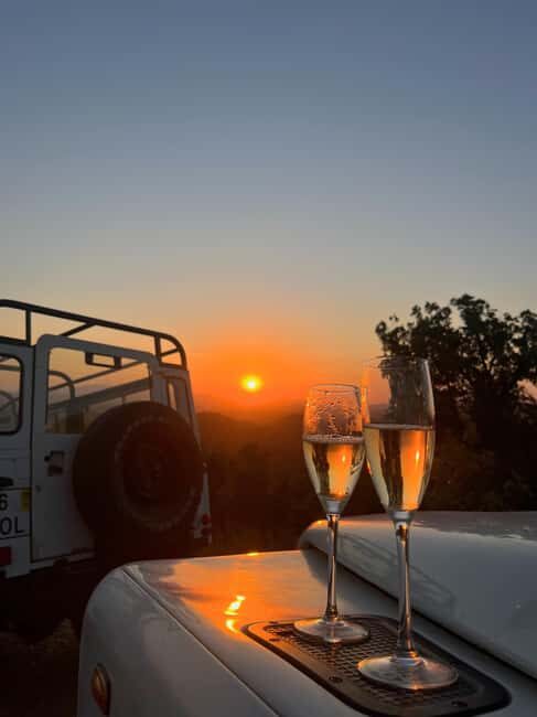 Golden Hour Safari in the Algarve - The Experience in Detail