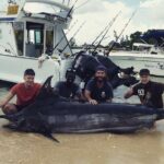 GOLDEN WAVE 3 - IGFA Captain Vic - Blue Marlin Fishing - The Catching Experience and What Makes it Special