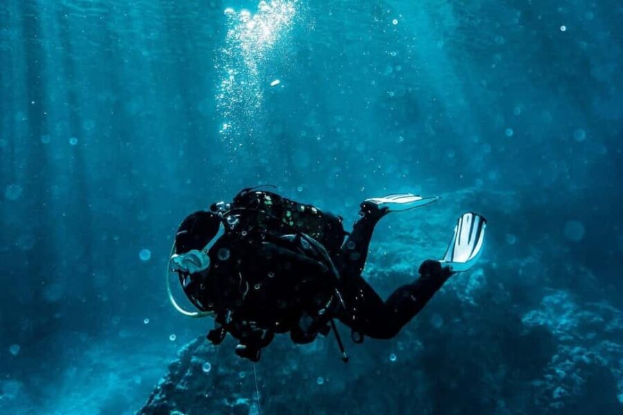 Golem/Durres: Ionian Sea Scuba Diving Experience - Final Thoughts: Who Should Sign Up?