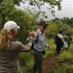 Gombe National Park Chimpanzee Trekking - Who Will Love This Tour?