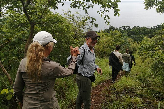 Gombe National Park Chimpanzee Trekking - Who Will Love This Tour?