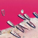Gorée Island and Pink Lake Day - The Sum Up: Who Will Love This Tour?