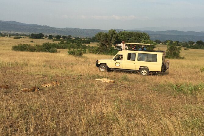 Gorilla & Chimpanzee Trekking in Uganda - 5 Days - What Makes This Tour Stand Out?