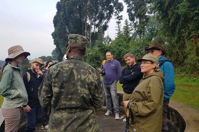 Gorilla Trekking Adventure - A Day trip (Only transfer) - A Detailed Look at the Gorilla Trekking Day Trip