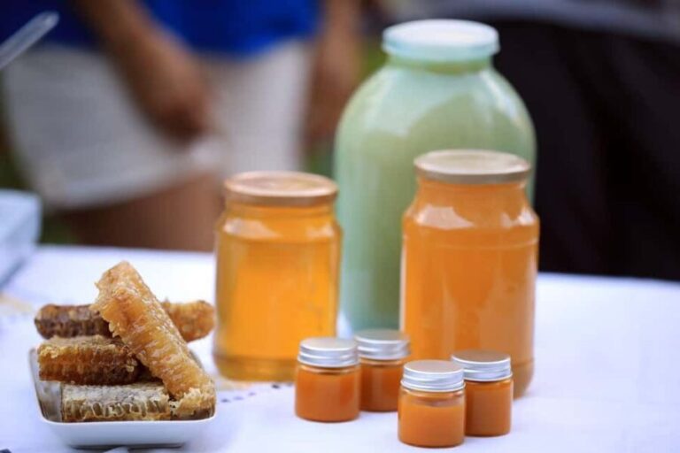 Goris: Beekeeping Traditions & Beeswax Balm Making Workshop - Practical Details and Value