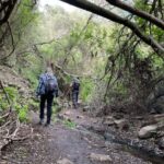 Gran Canaria: excursion to the Barranco de los Cernícalos - Discovering Barranco de los Cernícalos