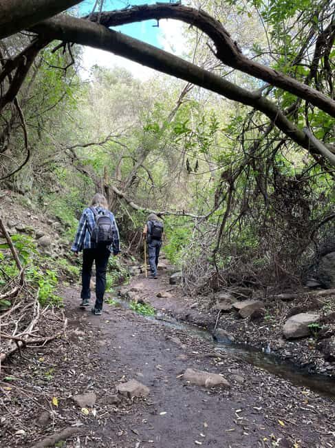 Gran Canaria: excursion to the Barranco de los Cernícalos - Discovering Barranco de los Cernícalos