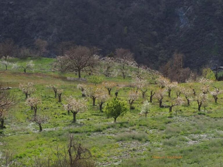 Granada: Guided Hiking Tour - Detailed Exploration of the Trails and Stops
