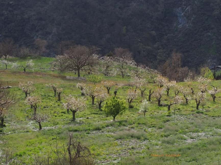 Granada: Guided Hiking Tour - Detailed Exploration of the Trails and Stops
