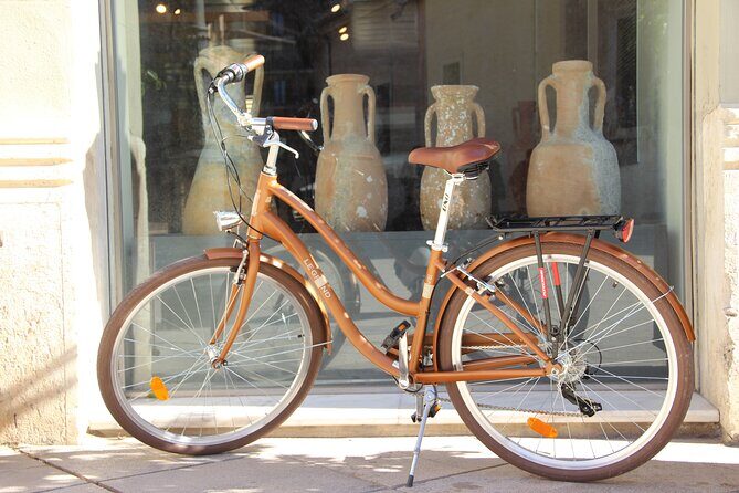 GRAND CITY Private Guided Tour on Bike, E-Bike, E-Step or Segway - The Sum Up