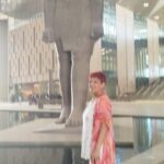 Grand Egyptian Museum - Detailed Breakdown of the Itinerary