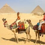 Grand Egyptian museum (GEM), Giza Pyramids, Sphinx and lunch - The Value and Practicalities