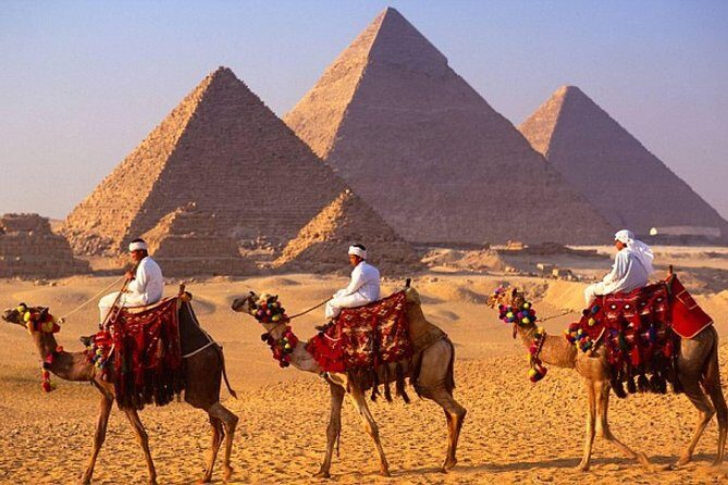 Grand Egyptian Museum & Saqqara & Memphis & Lunch Private Tour - Discovering the Wonders of Egypt: What to Expect