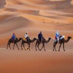 Grand Morocco Tour: 11 Days from Casablanca - What We Loved About This Tour