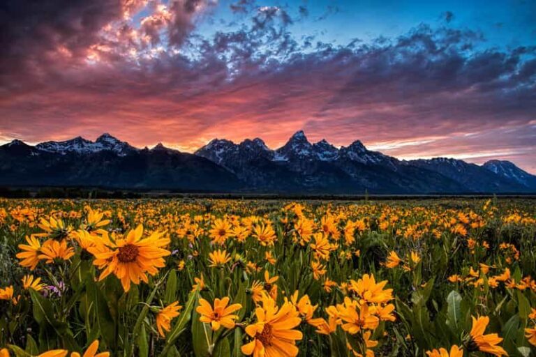 Grand Teton: Private Guided Tour (Sunset) - FAQs