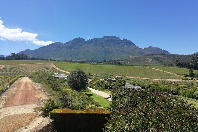 Greatest Wine Tour of the Cape Winelands - Frequently Asked Questions
