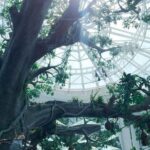 Green Planet Dubai Day Ticket With Pickup and Drop off - Practical Tips for Visiting