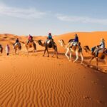 Group - 1 night Desert tour to Merzouga from Fes to Marrakech/Fes - The Journey Begins: From Fez to the Desert