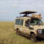 Group Safari 7 Days in Tanzania's Main Parks - The Itinerary Breakdown: What You Can Expect Day by Day