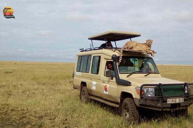 Group Safari 7 Days in Tanzania's Main Parks - The Itinerary Breakdown: What You Can Expect Day by Day