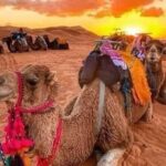 GROUP TOUR - 1 night 2 Day LUXURY Desert TRIP from FES to FES - The Journey to the Desert: A Day Full of Highlights
