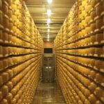 Gruyères, Cheese Factory & Maison Cailler Day Trip from Bern - Value and Practicalities