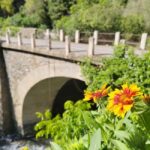 Güejar Sierra: History and gastronomy of Sierra Nevada - Gastronomy in the Sierra Nevada Foothills