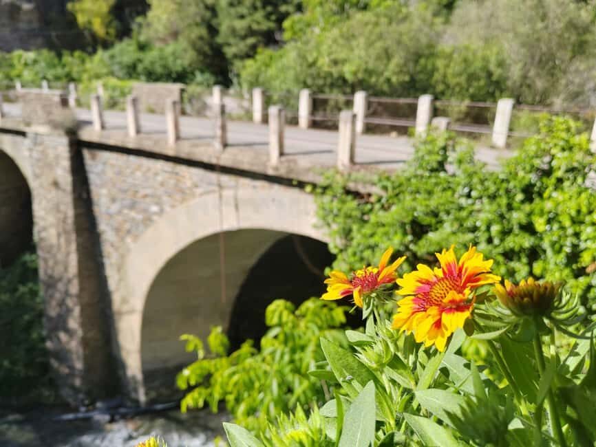 Güejar Sierra: History and gastronomy of Sierra Nevada - Gastronomy in the Sierra Nevada Foothills