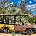 Guided 4x4 Town Safari in Victoria Falls - Why this tour might be perfect for you