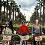 Guided Cycling Adventure in Casablanca with Licensed Tour Guide - Practical Details and What to Expect