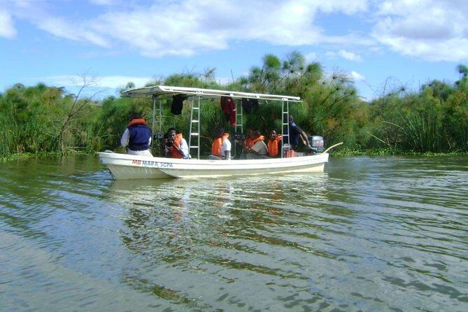 Guided Day Tour Safari of Parks Lake Naivasha and Hells Gate - The Sum Up