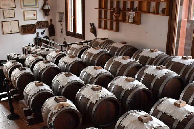 Guided group tour TastyBus: Parmesan Cheese and Parma Ham - The Real Value of This Tour