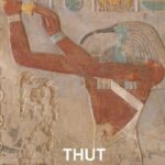 Guided Half-Day Tour of Nile East Bank from Luxor by Air-Conditioned Vehicle - Transportation and Logistics