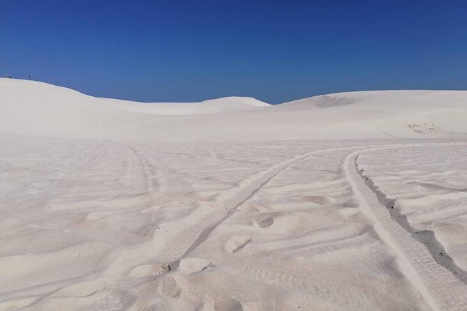 Guided hiking and environmental education: Atlantis Sand Dunes - Who Will Love This Tour?