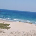 Guided Marine Walk: - Sardinia Bay (Marine Protected Area) - 3 hours - Why This Tour Offers Real Value