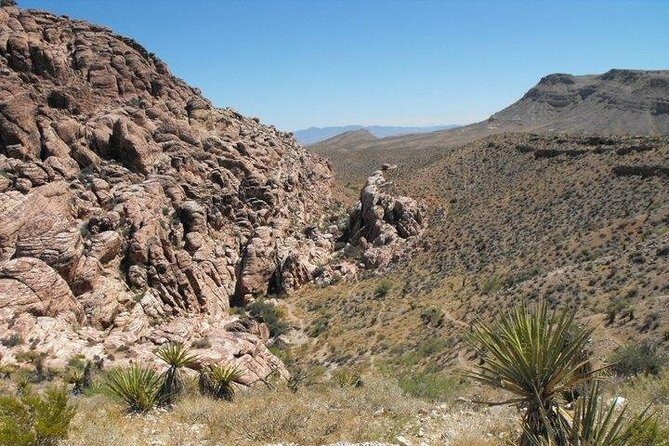 Guided Mountain Bike Tour of Mustang Trail in Red Rock Canyon - Practical Details