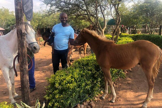 Guided Pony Riding in the Tranquil Surroundings of the Notwane Dam - Practical Details and Booking Experience