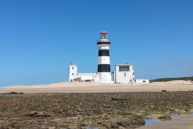 Guided Port Elizabeth Coastal Tour - Who Will Enjoy This Tour?