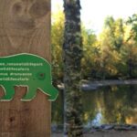 Guided Ranua Wildlife Park tour with Lunch, Small group adventure - The Practical Details: Cost, Duration, and Booking
