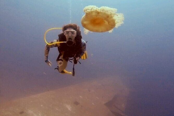 Guided Scuba Diving Adventure in Aqaba - Why This Tour Offers Excellent Value