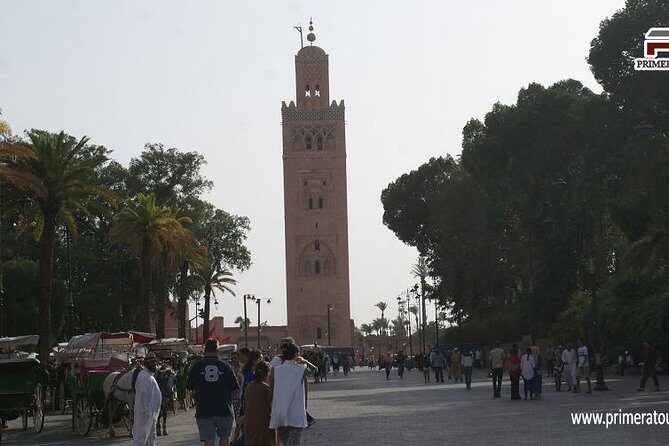 Guided Shared Day Trip Agadir to Marrakech medina & souks - Who Should Consider This Tour?