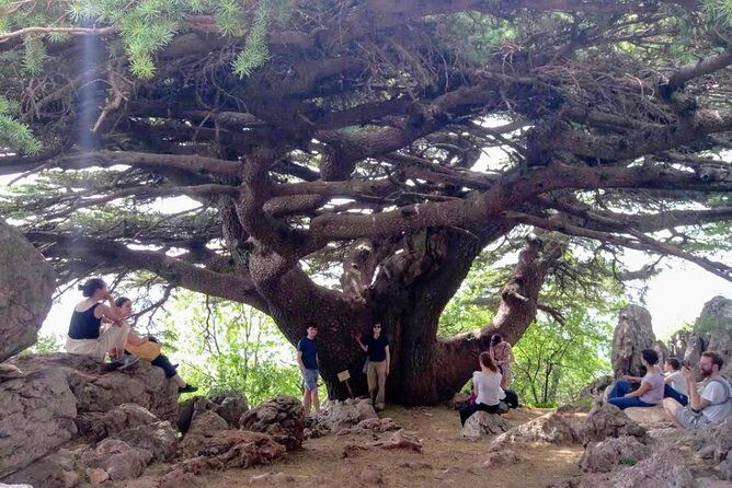Guided Small-Group Tour to Qadisha, Bcharee & Cedars with Lunch - Detailed Breakdown of the Itinerary