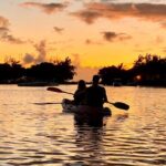Guided Sunset Kayak Tour in Mauritius - What to Expect on the Tour