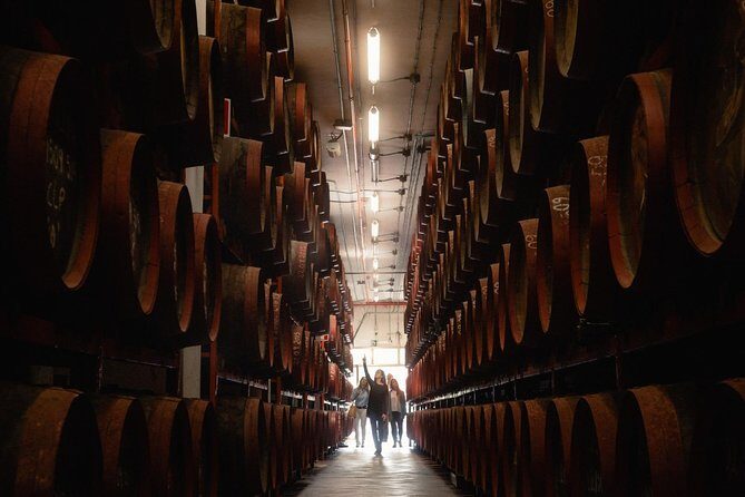 Guided Tour at Ron Arehucas Distillery - The Experience: What You’ll Love