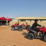 Guided Tour at Starlit Desert with Transportation - Transportation, Timing, and Group Size
