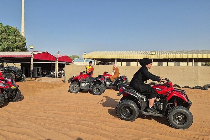 Guided Tour at Starlit Desert with Transportation - Transportation, Timing, and Group Size