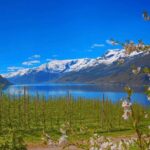 Guided tour: Hardangerfjord, Waterfalls and Ferry crossing - Practical Details and Value