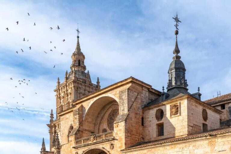 Guided tour of Burgo de Osma (by ECO-BUS) - The Sum Up