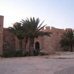 Guided Tour of Djerba island, Museums, Crocodile park & lunch - Authentic Experiences and Traveler Insights