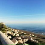 Guided tour of Malaga fishing scene with cooking workshop - The Sum Up